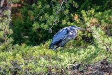 Lake Cumberland-1023.jpg