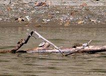 Lake Cumberland-1052.jpg