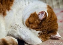 _DSC6203 low res.jpg