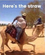 straw.jpg