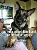 food.jpg
