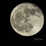 HarvestMoon-2.jpg