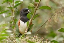 20191019-DSC_0418-Edit.jpg