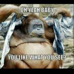 35EE8C61-7476-44D7-AC0E-C6C44EEEC85A.jpeg