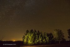 10-24-19-cr-LP_D7K1315-ON1.jpg