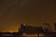 10-24-19-cr-LP_D7K1320-ON1.jpg