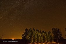10-24-19-cr-LP_D7K1324-ON1.jpg