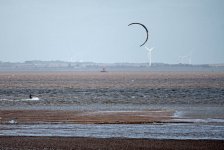 DSC_5061.jpg