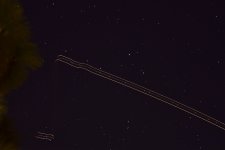 _ROY4180.jpg