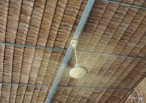ceiling-fan-2.jpg