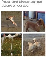 768d651c70614ec447088334ebf46fe1.jpg