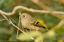 20191029-_DSC1903-Edit.jpg