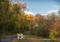 _DSC6350 low res.jpg