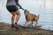 _DSC6354 low res.jpg