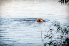 _DSC6357 low res.jpg