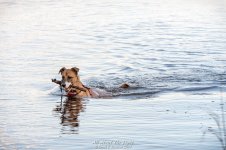 _DSC6361 low res.jpg