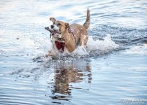 _DSC6362 low res.jpg