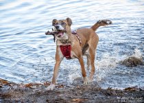 _DSC6365 low res.jpg