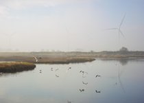 DSC_9528.jpg
