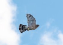 _DSC6437 low res.jpg