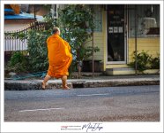 morning-walk-2.jpg