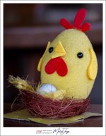 chick-1.jpg