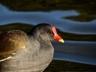 DSC_0367.jpg