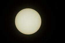D72_7220.jpg