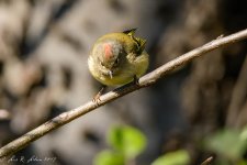 20191103-_DSC2408-Edit.jpg