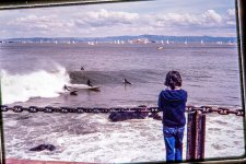 DSC_8075.jpg