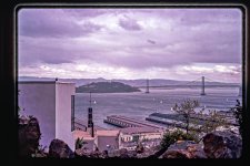DSC_8067-Edit.jpg