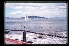 DSC_8063-Edit.jpg