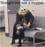 3B37C741-9DD7-4DA8-82F1-0421CC1B25CC.jpeg