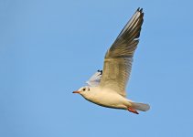 DSC_0413.jpg