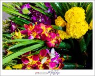 flowers-1.jpg