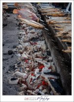 fish-5.jpg