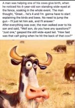 calf.jpg