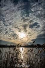 _10K2063 low res.jpg