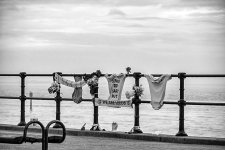 DSC_0596.jpg