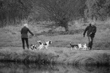 DSC_0608.jpg