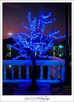 blue-1.jpg