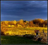 750_9049-Pano.jpg