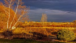 750_9042-Edit.jpg