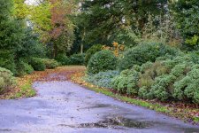 DSC_0789.jpg