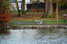 DSC_0621.jpg