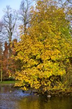 DSC_0648.jpg