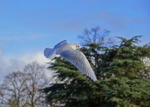 DSC_0686.jpg