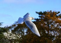 DSC_0687.jpg