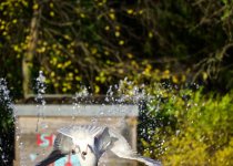 DSC_0767.jpg