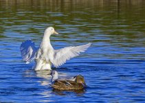 DSC_1095.jpg